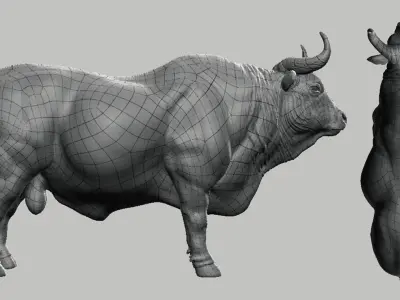 Bull model 3D model