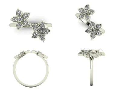 Ring 35 3D print model