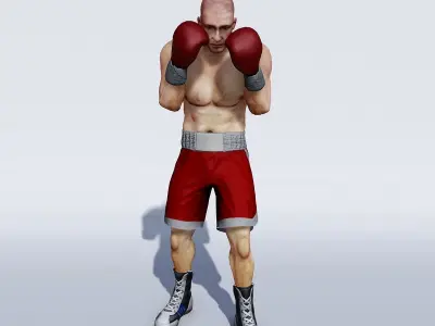Professional  heavyweight boxer Low-poly 3D model