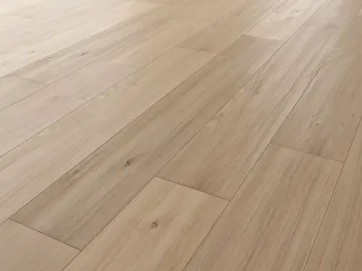 Wood floor Oak Canna Sanded 3D model
