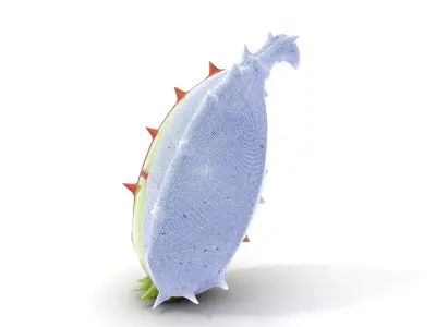 Spiky Fantasy Pod model pack Low-poly 3D model