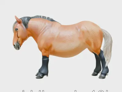Buckskin Morgan Horse with Tan Coat and Black Points Low-poly 3D model