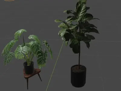 FLOWER two plants in pot on table Free low-poly 3D model
