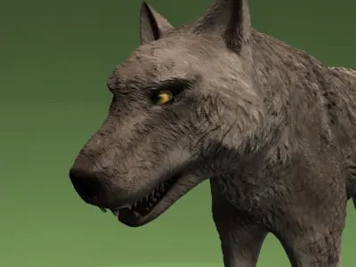 Detailed grey wolf Low-poly 3D model