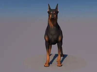 AMdog animations only c4d Low-poly 3D model