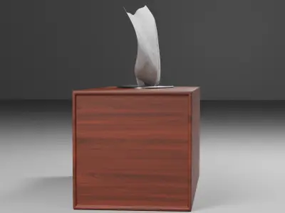 Wooden Tissue Box 3d model 3D model