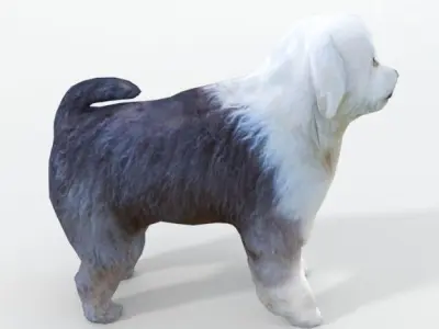 Old English Sheepdog Low-poly 3D model