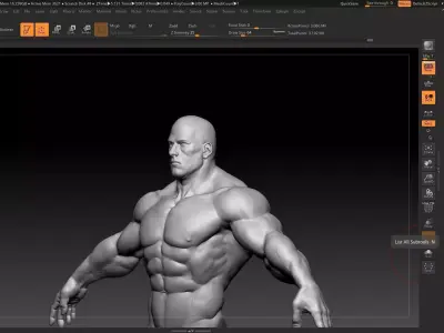 buff male white 3D model