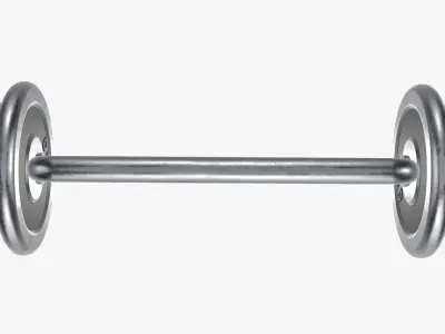 Triceps weight bar and weights 3D model