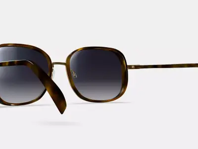 Fernanda Sunglasses in Cognac Tortoise with Polished Gold 3D model