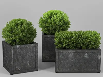 Bushes planter box 3D model