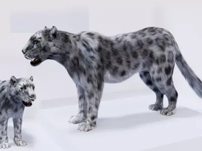 Realistic Fur Leopard 3D Model NO RIG Low-poly 3D model