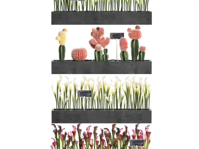 Cactus set wall decor vertical garden 45 3D model