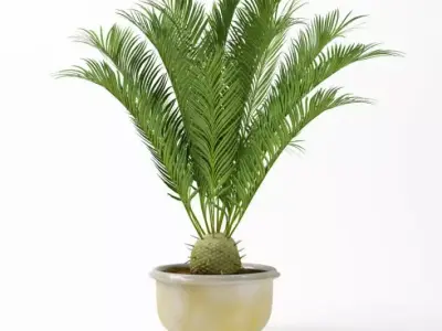 Potted Palm Plant 3D model