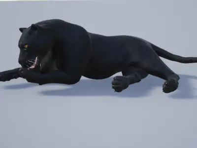 Pack of wild african cats Low-poly 3D model