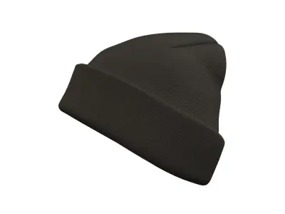 Beanie Winter Hat Low-poly 3D model