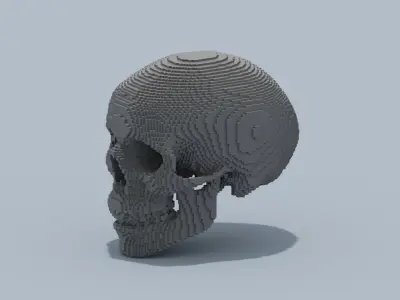 Voxel Skull 3D model