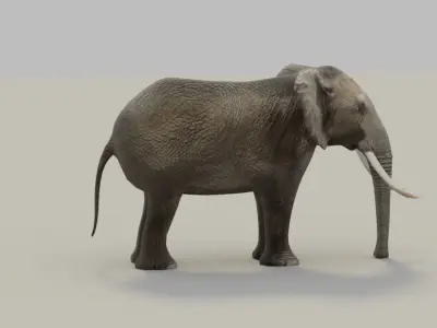 Elephant with tusks Low-poly 3D model