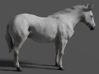 horse lowpoly Low-poly 3D model