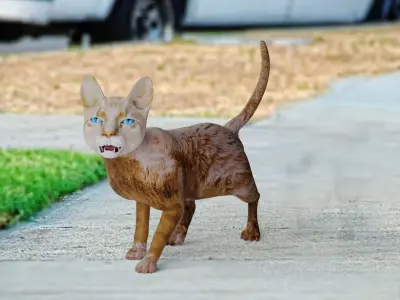 Cat White Rigged in Blender  Low-poly 3D model