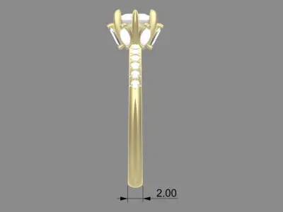 Jewelry Ring 3D print model 3D print model