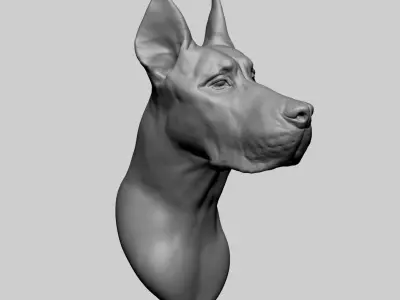 Dog Bust 3D model
