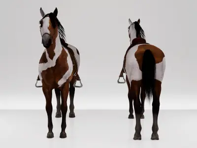 Horse Spanish Mustang  - Stallion Game Ready Low-poly 3D model