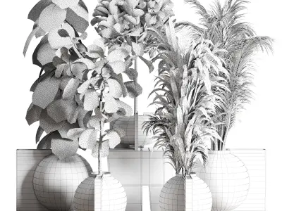  Indoor plant concrete dirt vase pot monstera ficus rubbery 3D model