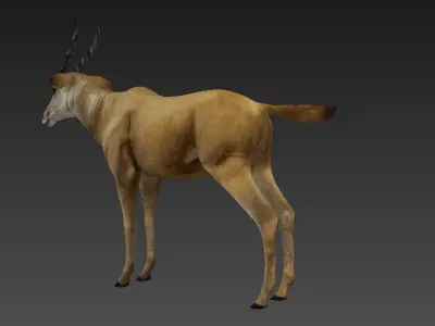 antelope Low-poly 3D model