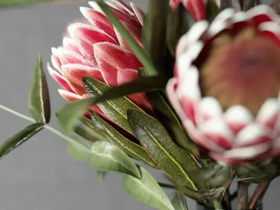 Bouquet of flowers with protea and eucalypt 3D model