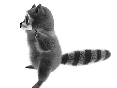 Raccoon character  cartoon 3D model