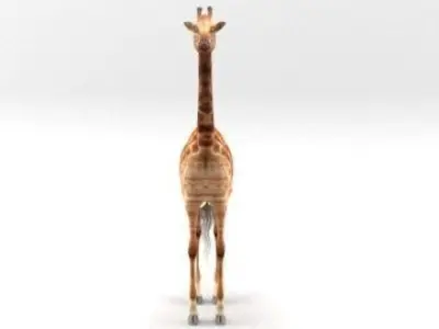 GIRAFFE 3D model 7