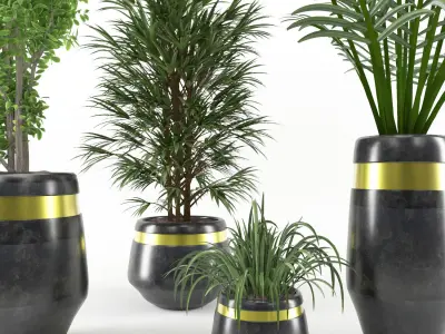 decoration flower 04 3D model
