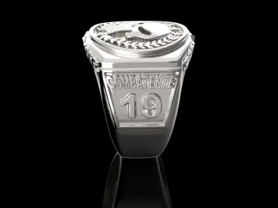 Punisher Police Ring Man 3D Print Model 3D print model