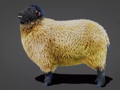 Fur Sheep Rigged in Blender  Low-poly 3D model