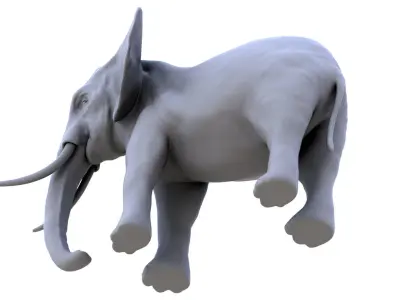 Elephant 3D Model 3D model