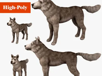 wolf  rig  high-poly  textured 3D model