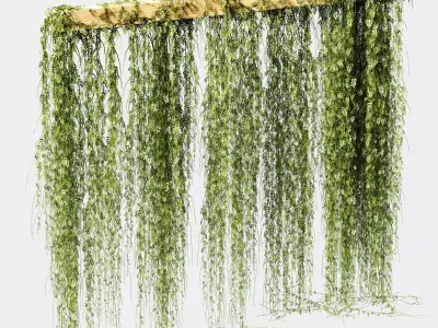 Plant leaf partition or screen 3D model