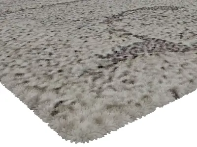 Rug Set 1845 3D model