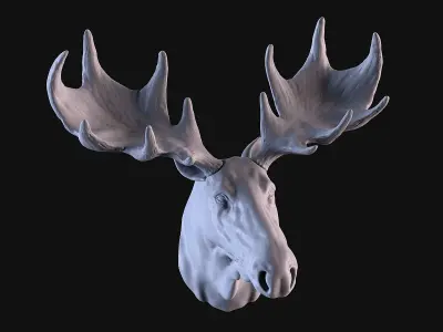 Moose Head 3D print model