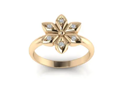 Ring 157 3D print model