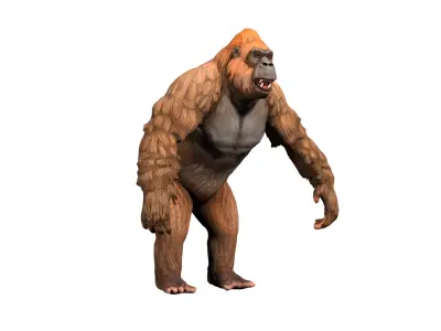 gorilla  rig  high-poly  textured 3D model