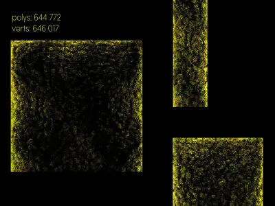 Moss modules 3D model