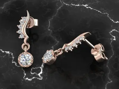 Jewelry Earring 3D print model