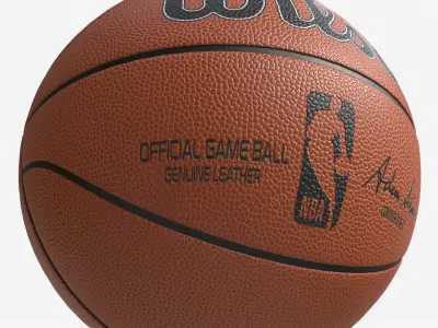 Basketball Official Game Ball Wilson 3D model