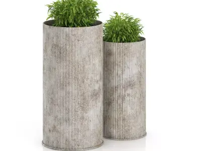 Two Plants in Large Pots 3D model