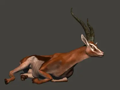 animated gazelle 3D model