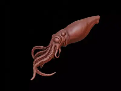 Squid Animal Sculpture 3D print model