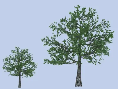 Maple tree Free low-poly 3D model