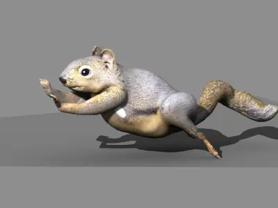 squirrel rigged 3D model